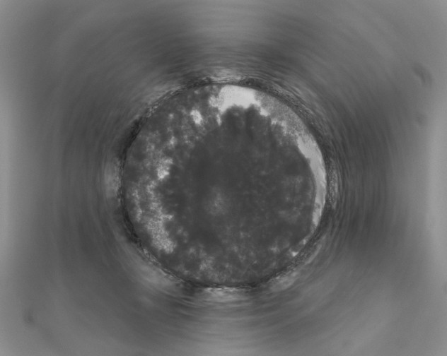 X0000111050367200908061523