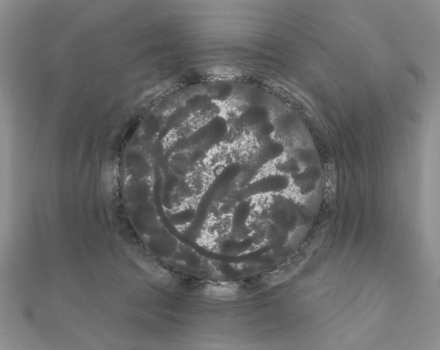 X0000111050369200908061523