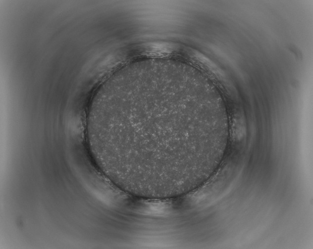 X0000111050370200908061523