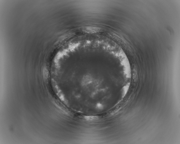 X0000111050371200908061523