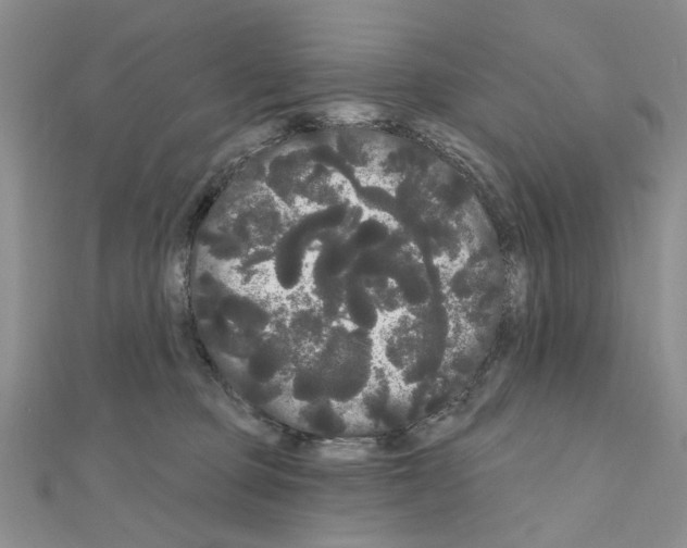 X0000111050373200908061523