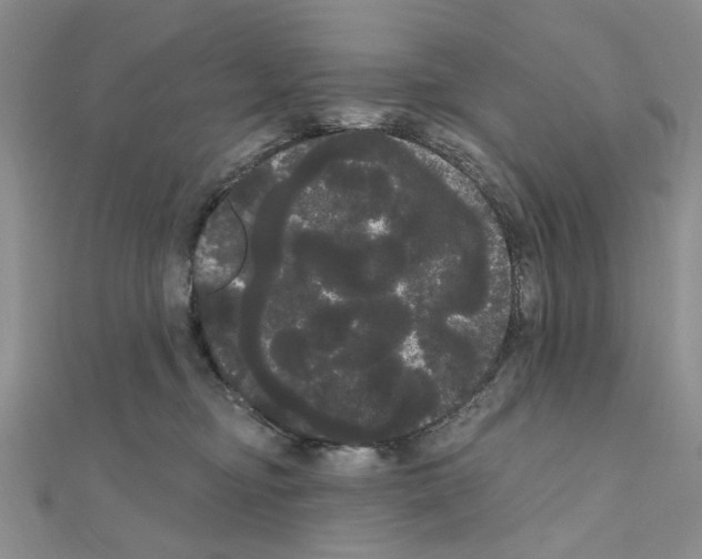 X0000111050374200908061523