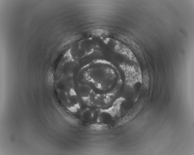 X0000111050375200908061523