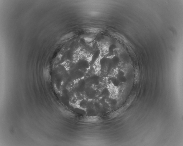 X0000111050377200908061523