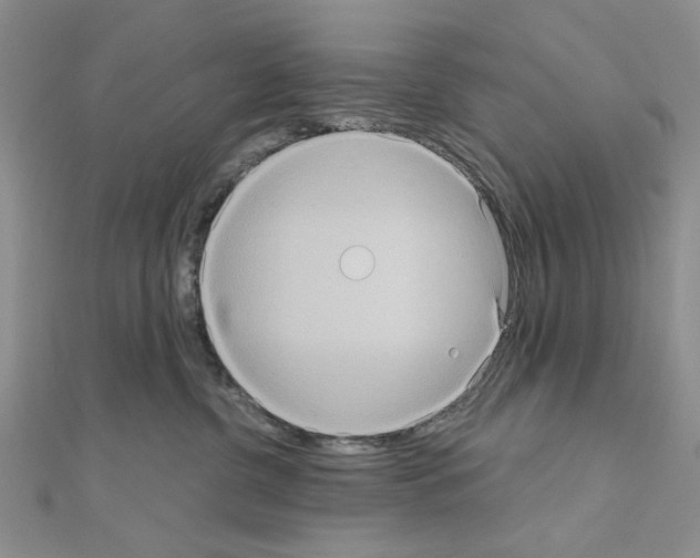 X0000111050380200908061523