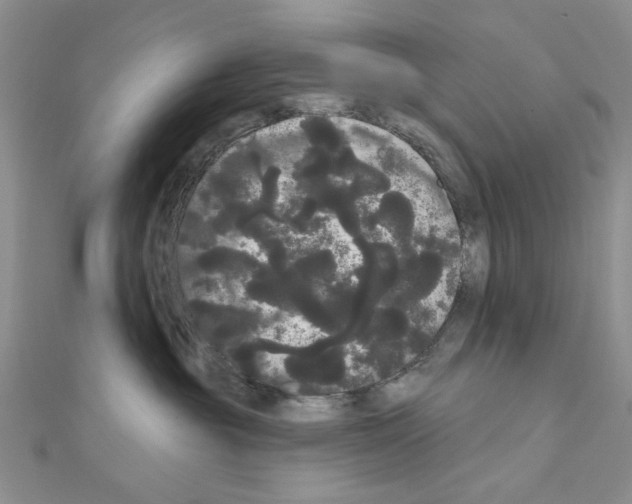 X0000111050381200908061523