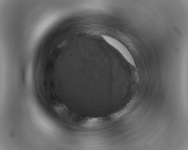 X0000111050382200908061523