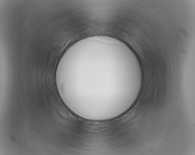 X0000111050384200908061523