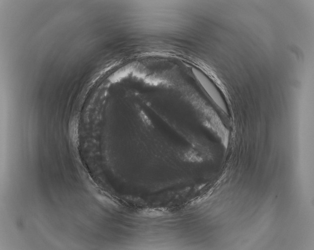 X0000111050386200908061522