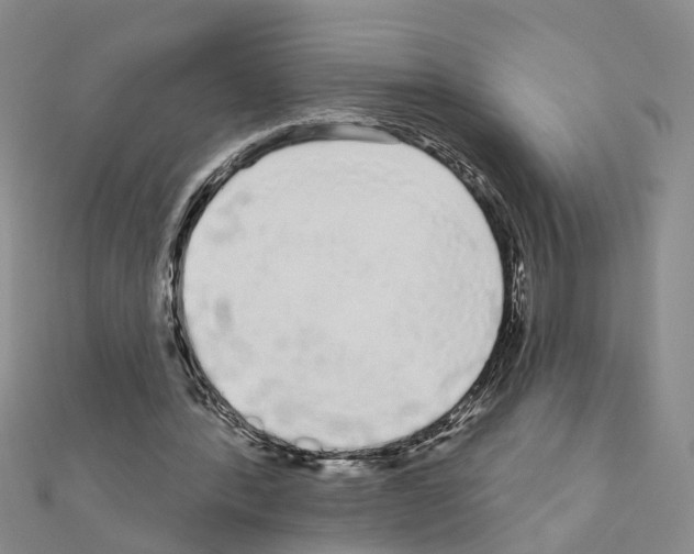 X0000111050388200908061522