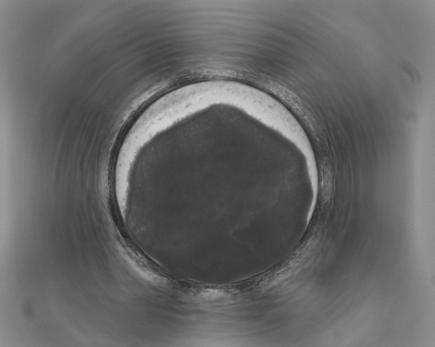 X0000111050390200908061522