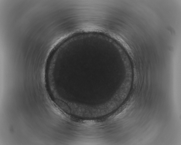 X0000111050391200908061522