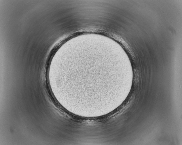 X0000111050392200908061522