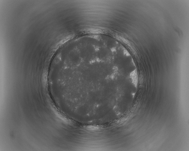 X0000111050394200908061522