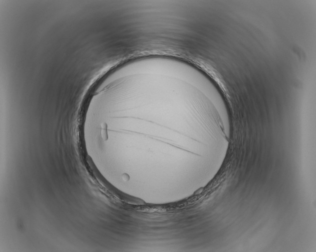 X0000111050395200908061522