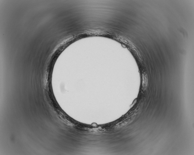 X0000111050396200908061522