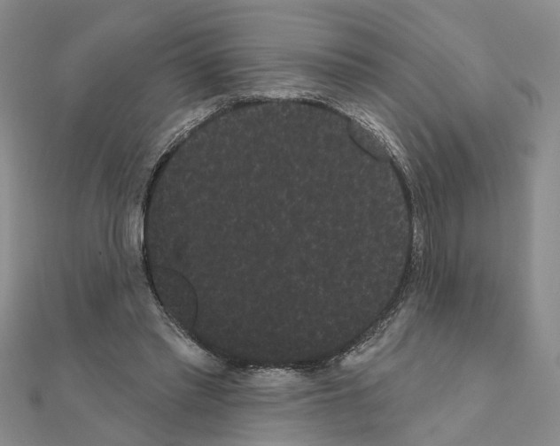 X0000111050397200908061522