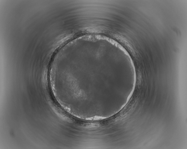 X0000111050398200908061522