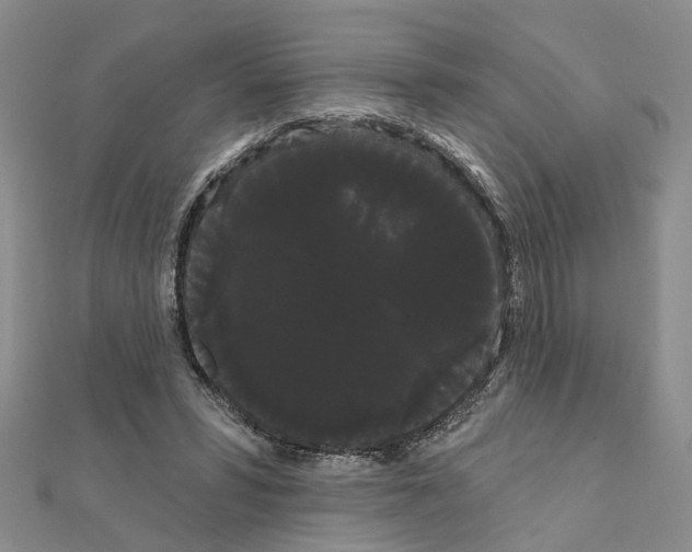 X0000111050399200908061522