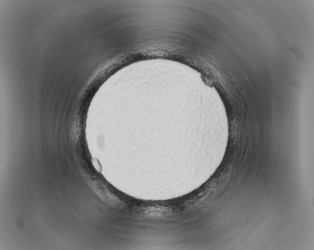 X0000111050400200908061522