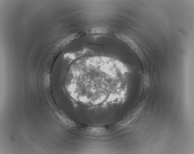 X0000111050401200908061522