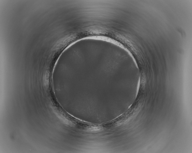 X0000111050402200908061522