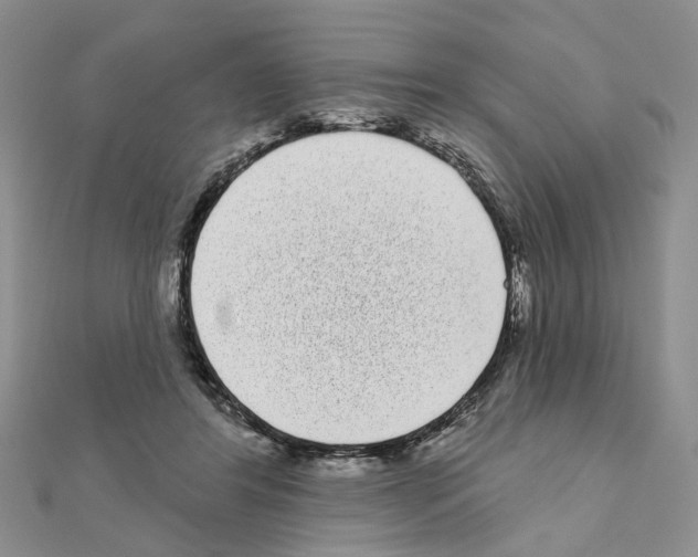 X0000111050404200908061522