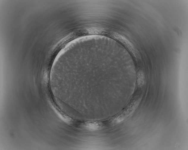 X0000111050405200908061522