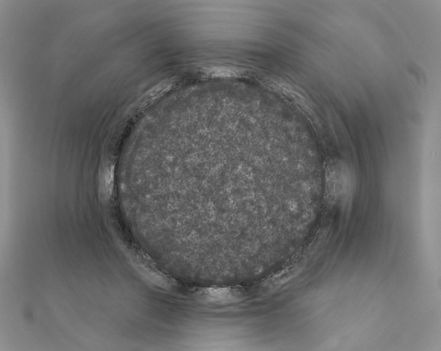 X0000111050406200908061522