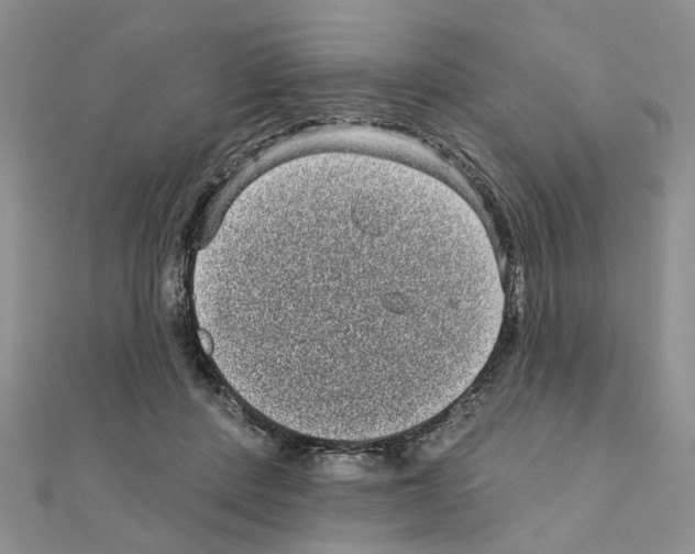 X0000111050408200908061522