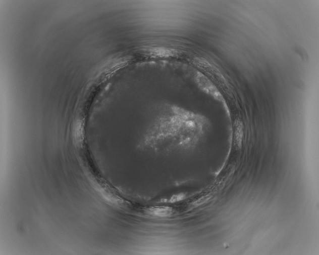 X0000111050410200908061522