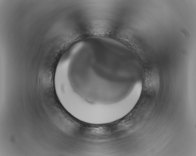 X0000111050411200908061522