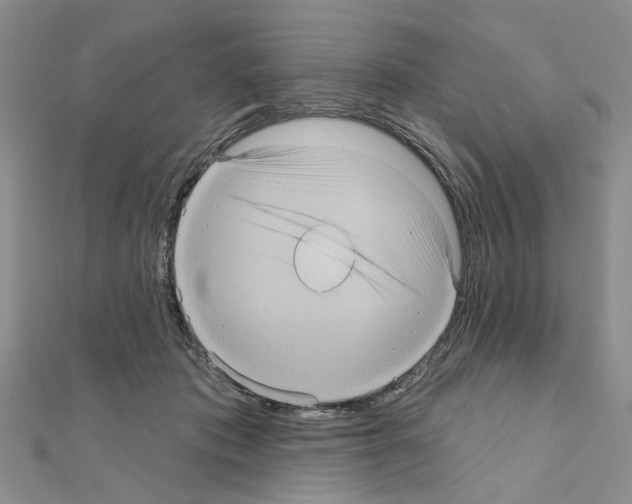 X0000111050413200908061522