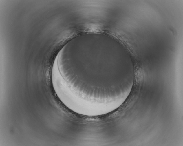 X0000111050415200908061522