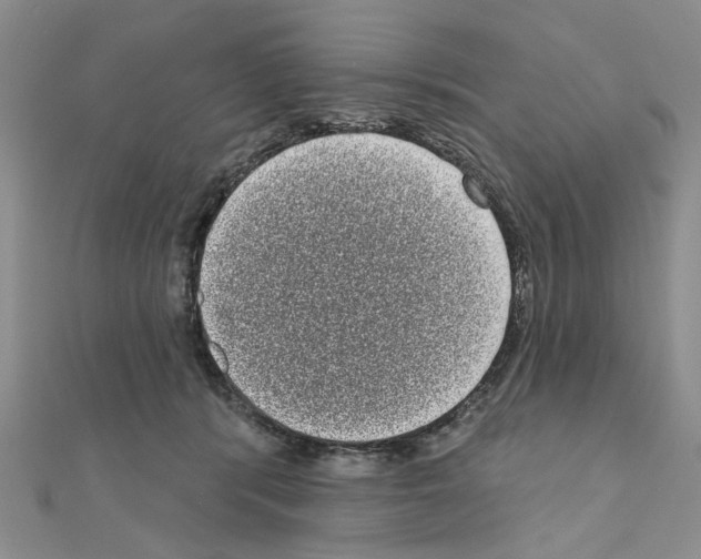 X0000111050416200908061522