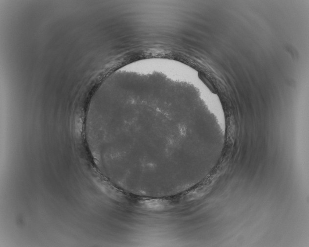 X0000111050417200908061522