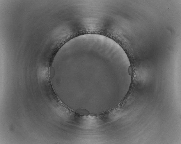 X0000111050419200908061522