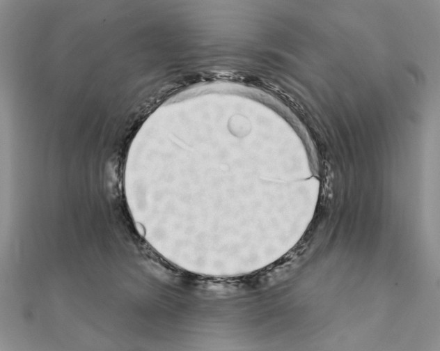 X0000111050420200908061521