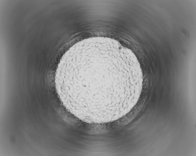 X0000111050421200908061521