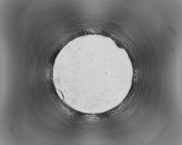 X0000111050424200908061521