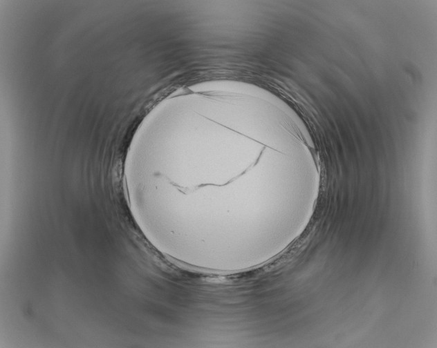 X0000111050425200908061521