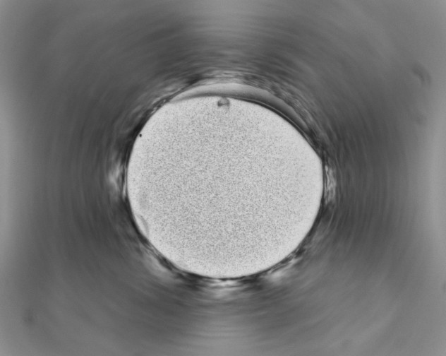 X0000111050428200908061521