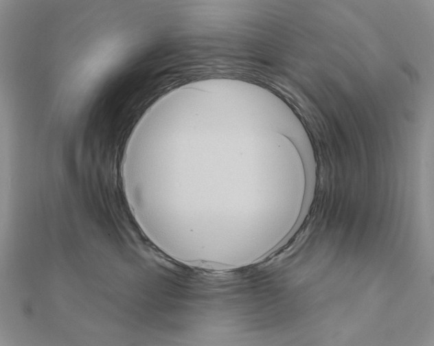 X0000111050429200908061521