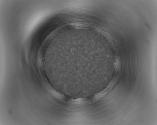 X0000111050430200908061521