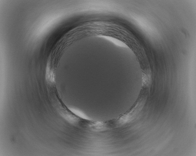 X0000111050431200908061521