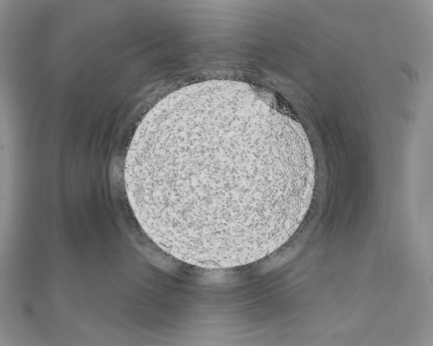 X0000111050432200908061521