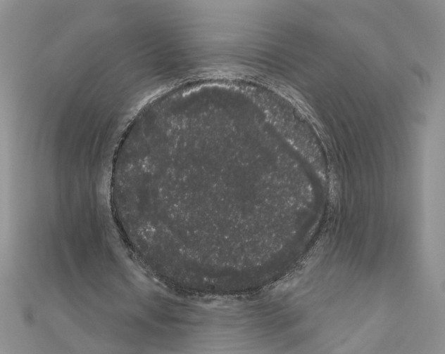 X0000111050434200908061521