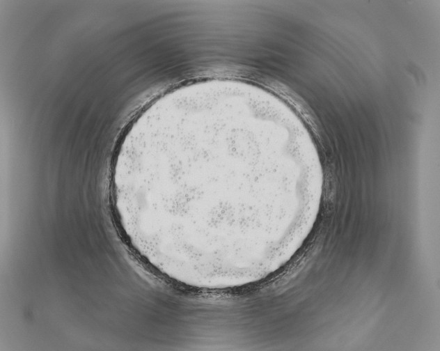 X0000111050437200908061521