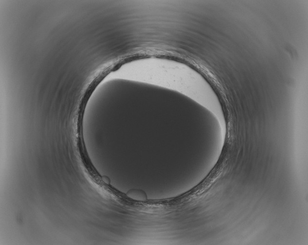 X0000111050438200908061521