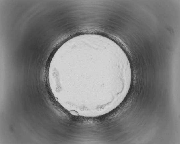 X0000111050439200908061521